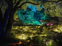 teamLab : A Forest Where Gods Live …งานดิจิตอลอาร์