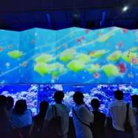 【テクノロジーが溢れる水族館】マクセル アクアパーク品川