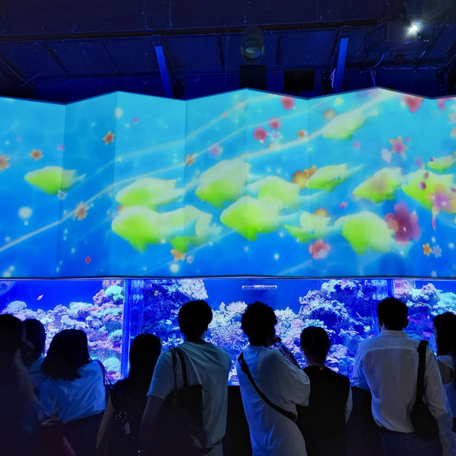 【テクノロジーが溢れる水族館】マクセル アクアパーク品川