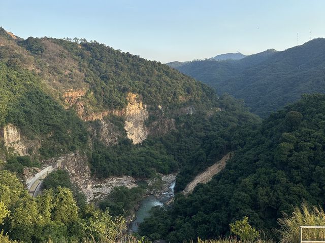 迷人的水塘與白千層，踏上城門水塘之旅