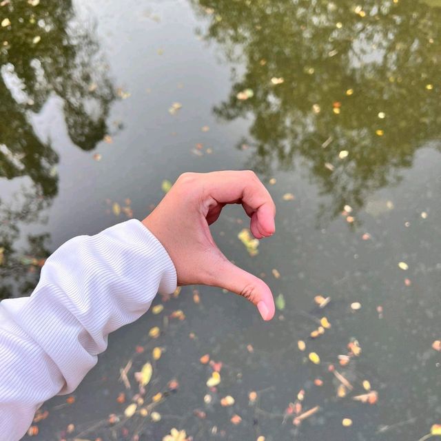 สวนรถไฟ สวนสาธารณะใจกลางกรุงเทพ