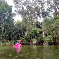 Stradbroke Island