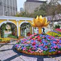 香港花卉展覽2023又返嚟啦👏🏻👏🏻👏🏻