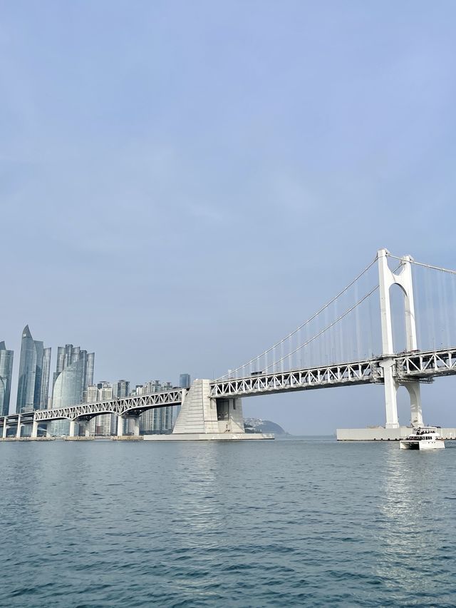 부산여행에 빠질 수 없는 요트투어 💙