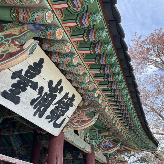 경포대에서 내려다보는 아름다운 경관