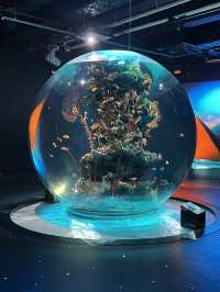 融合藝術與生物的新感覺水族館