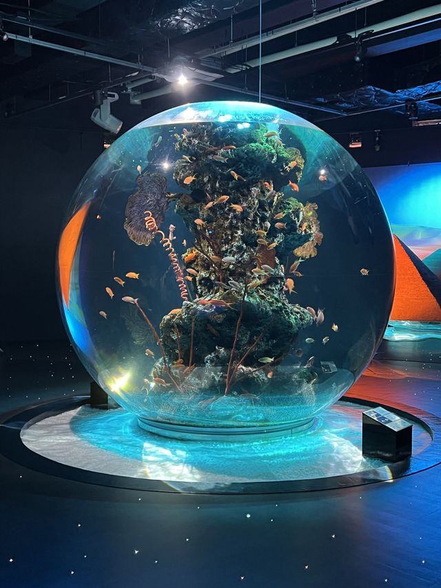融合藝術與生物的新感覺水族館