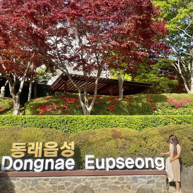동래 역사여행 동래읍성, 동래사적공원🌿