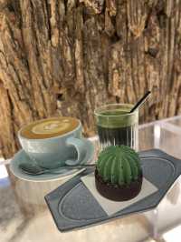 🍃從樹開始的新世界🫚｜ 呀Jer啟德新開既cafe