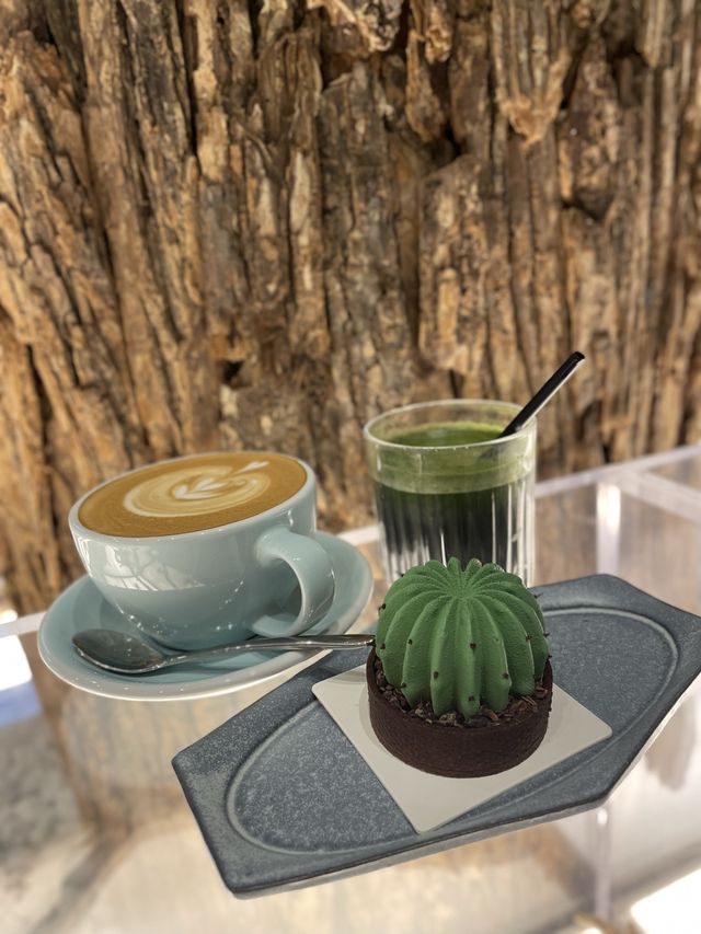 🍃從樹開始的新世界🫚｜ 呀Jer啟德新開既cafe