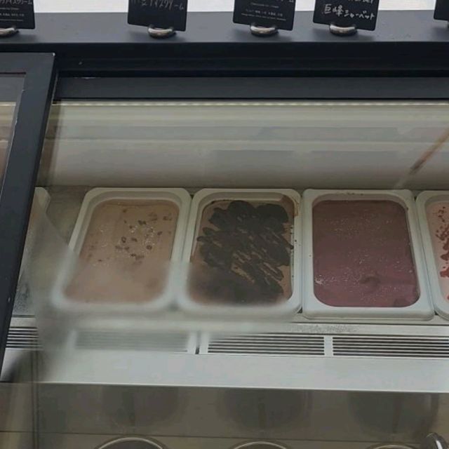 パークからちょっと飛び出してみたくなる⁉️【ヒルトン東京ベイ・フォレストガーデン】