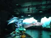 Avatar in Sg!