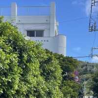 【沖縄旅行】座間味を楽しむ宿　民宿中村屋