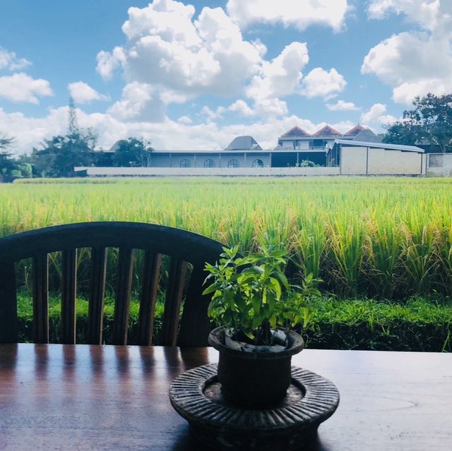 烏布田園中的平價景觀小餐廳：The Tejas Warung