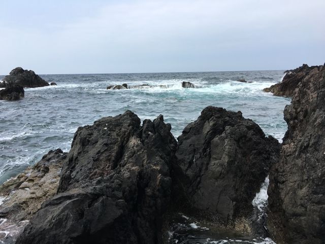 北海道　北海道観光　利尻島の絶対外せない観光スポット 仙法志御崎公園でアザラシに会ってきた！