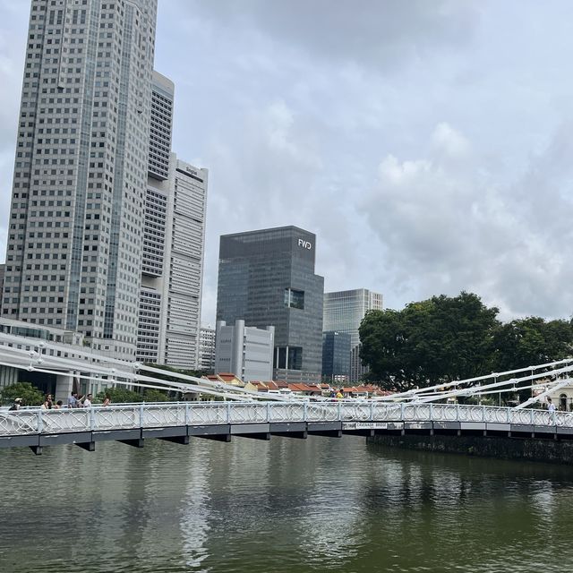 絶対見に行きたい！🇸🇬マーライオン公園