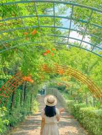 조만간 또 피면 여기서 만나🍃🧡