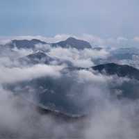 香港🇭🇰 ｜季節限定的山野景色🌟 - 大帽山 ⛰️