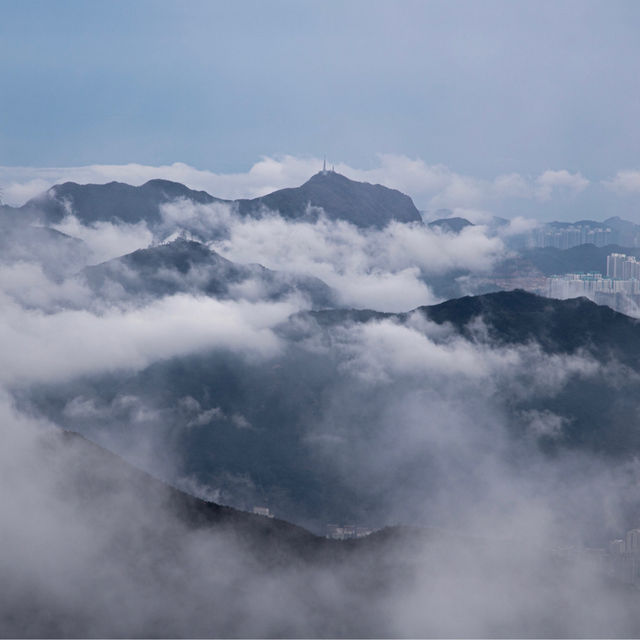 香港🇭🇰 ｜季節限定的山野景色🌟 - 大帽山 ⛰️