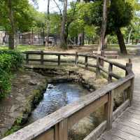 【愛知県西三河の旅】安城公園