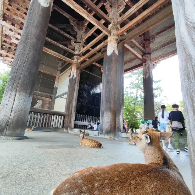 洗滌心靈之旅