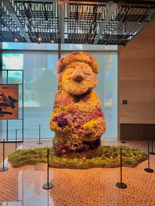 제주 5성급 호텔 ‘그랜드 하얏트 제주’⭐️🫧 제주 5성급 호텔 ‘그랜드 하얏트 제주’⭐️🫧