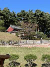 파주 강아지와 산책하고 피크닉 하기 좋은 운정호수공원⛲️