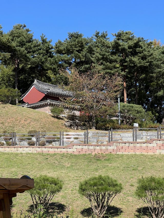 파주 강아지와 산책하고 피크닉 하기 좋은 운정호수공원⛲️