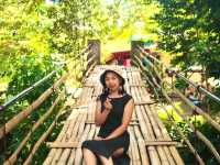 Hanging bridge + Cebu's man made forest