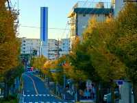 Autumn In Tokyo