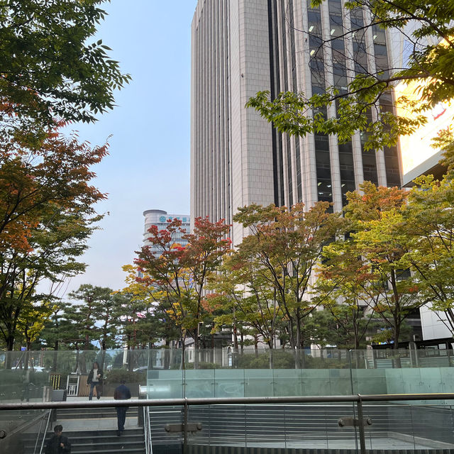 Amazing trip in Seoul🍁