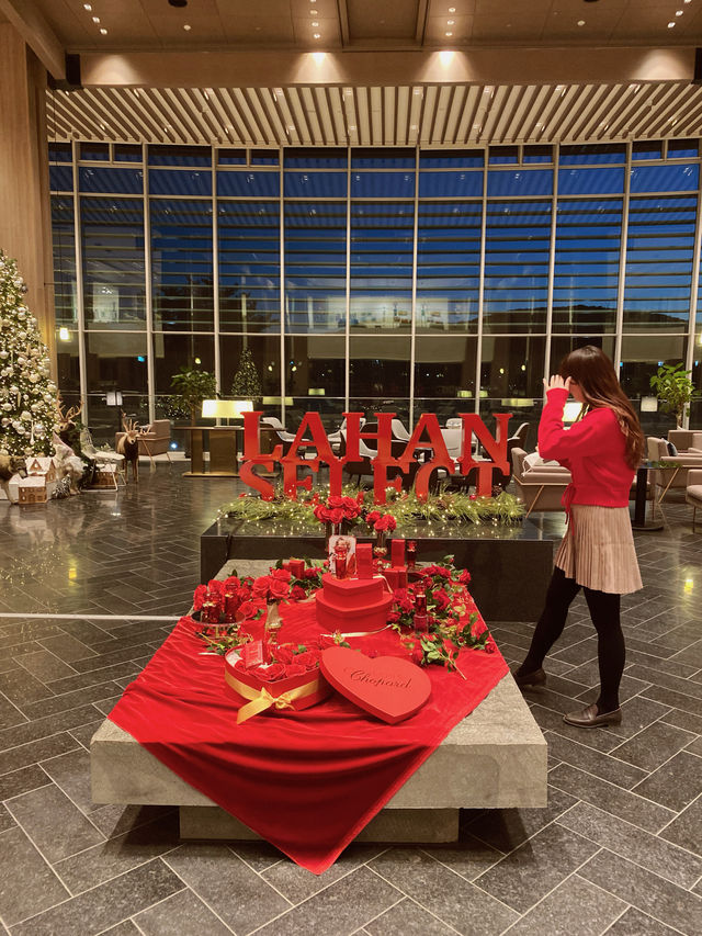 경주 보문호수 배경으로 남기는 크리스마스🎄