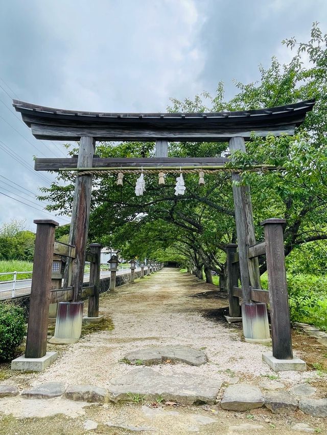 【島根県/神魂神社】2023年行ってよかった！島根県の神社④