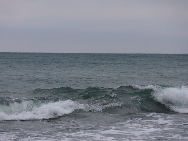 겨울-봄의 제주도는 아름다웠다…😌