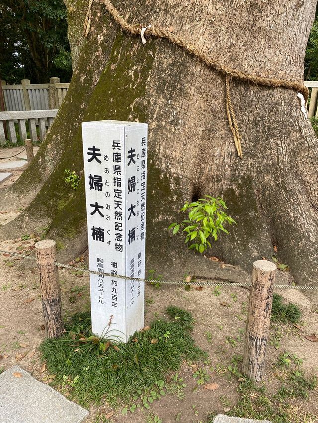 【淡路島】伊弉諾神宮 