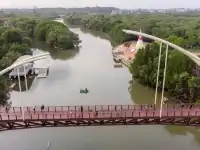 สะพานป่าชายเลน ระยอง