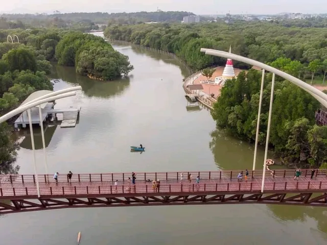 สะพานป่าชายเลน ระยอง