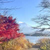 Unforgettable moments at Mount Fuji 