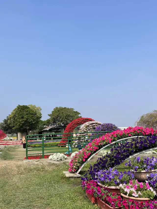 Zhongshe flower market taichung