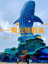 好值得去的海洋王國