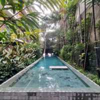 巴西馬瑙斯亞馬遜別墅特色酒店Amazonia villa hotel