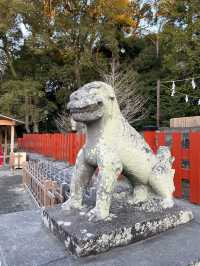 【神奈川県】早朝の鶴岡八幡宮を参拝