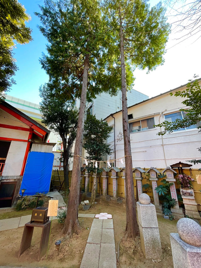 【東京都/熊野町熊野神社】通称「くまくま神社」