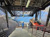 Mt. Fuji Panoramic Ropeway 