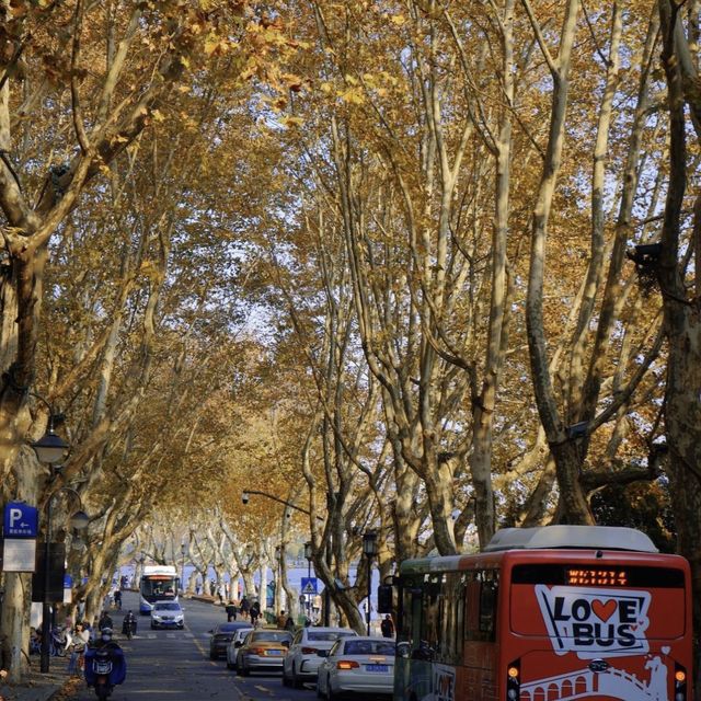 【杭州北山路】最具文化內涵的一條街，不容錯過！