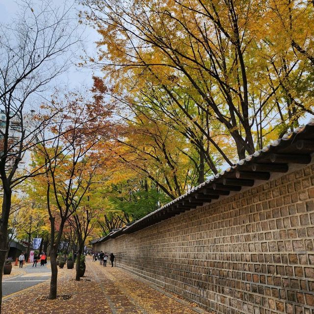 秋天必去德壽宮散步路，韓國最美小路名不虛傳！