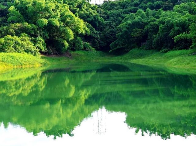 「嘉義蘭潭風景特定區」湖光山色，絕對值得一遊！