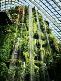 Cloud Forest at Gardens by the Bay