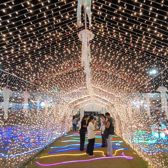 เที่ยวชมหุ่นฟางนกที่สวยเหมือนนกจริง 