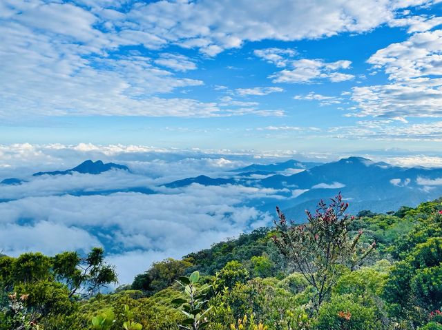Delve into the heart of biodiversity.